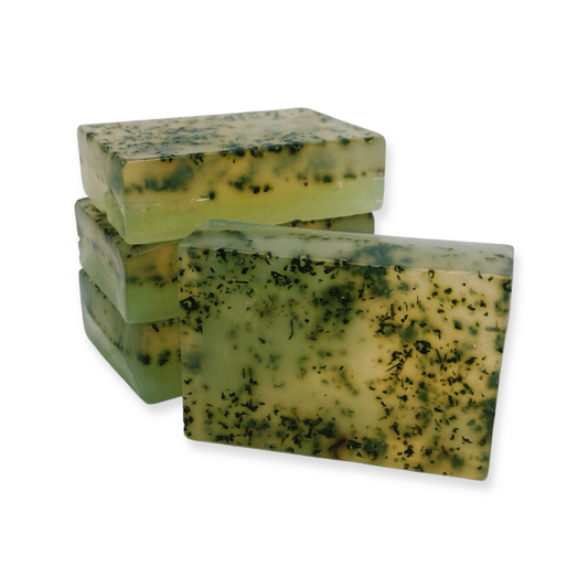 BEYOND Aloe Vera & Hemp Body Bar with Nettle Leaf